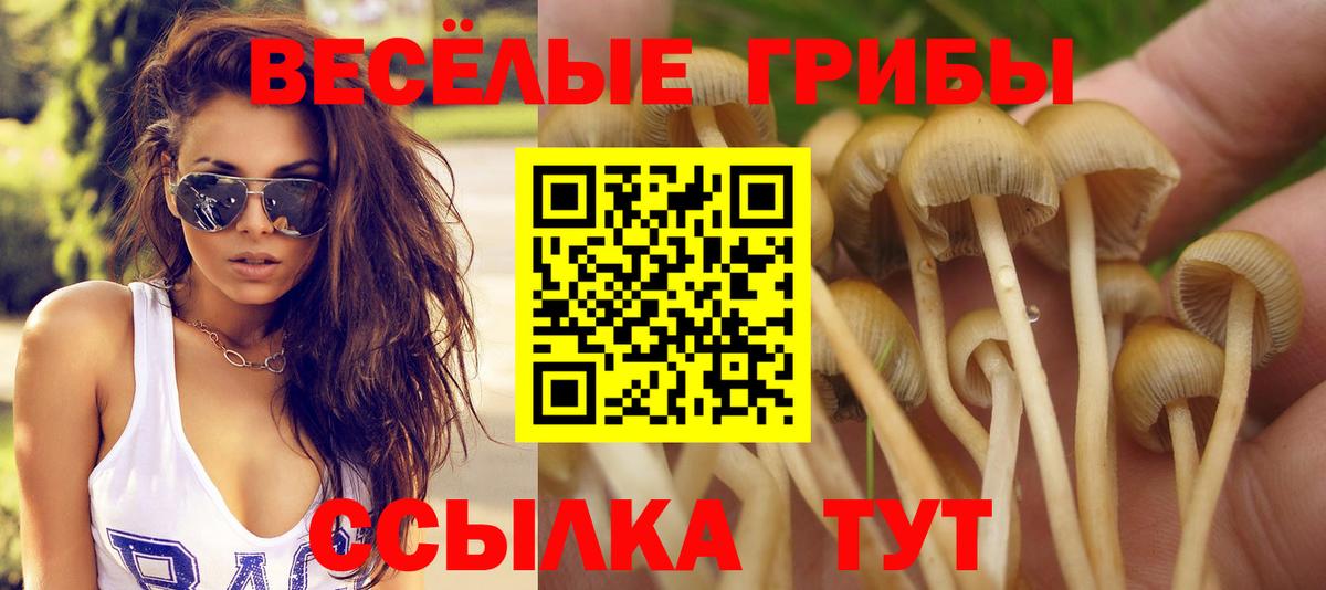Белая Калитва  Галлюциногенные грибы ЛСД  Вход с VPN 